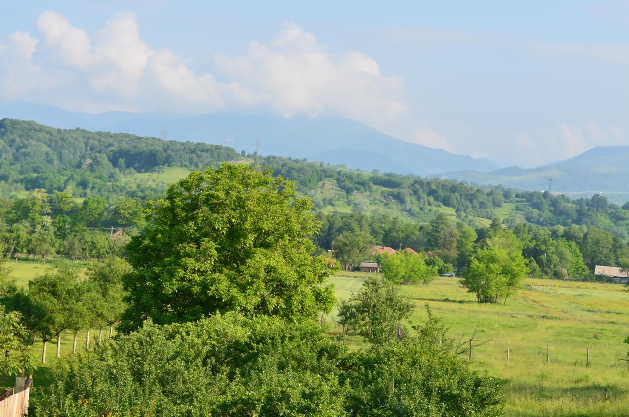 Pensiunea Koruna Poenari エクステリア 写真