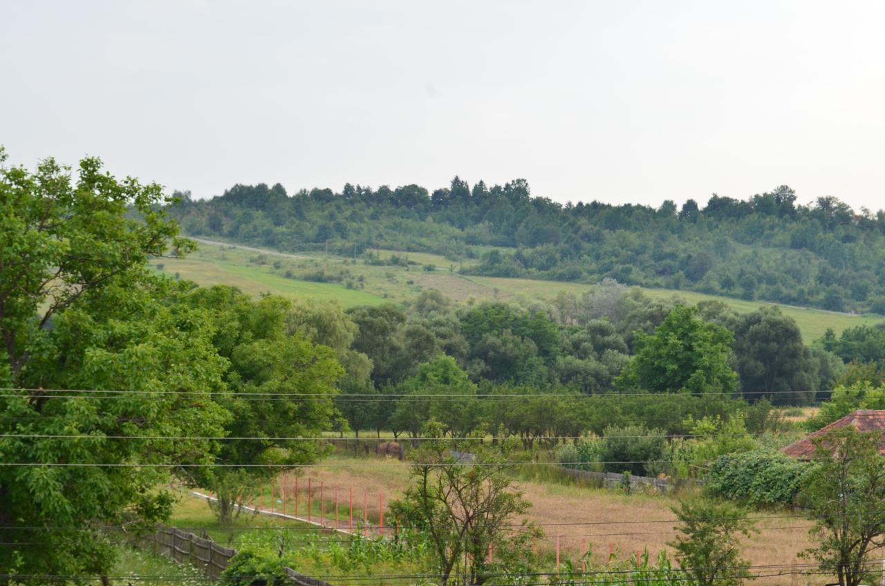 Pensiunea Koruna Poenari エクステリア 写真